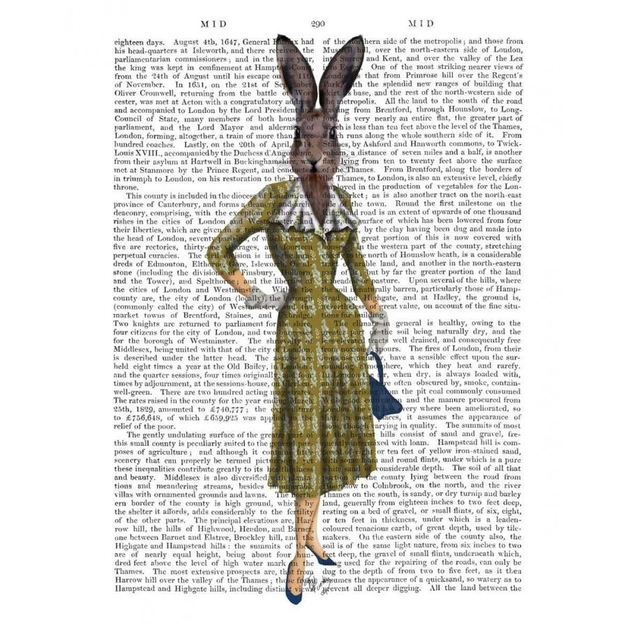 Rabbit In Mustard Dress Poster Print - Funky Fab-VARPDX191449D Image 1