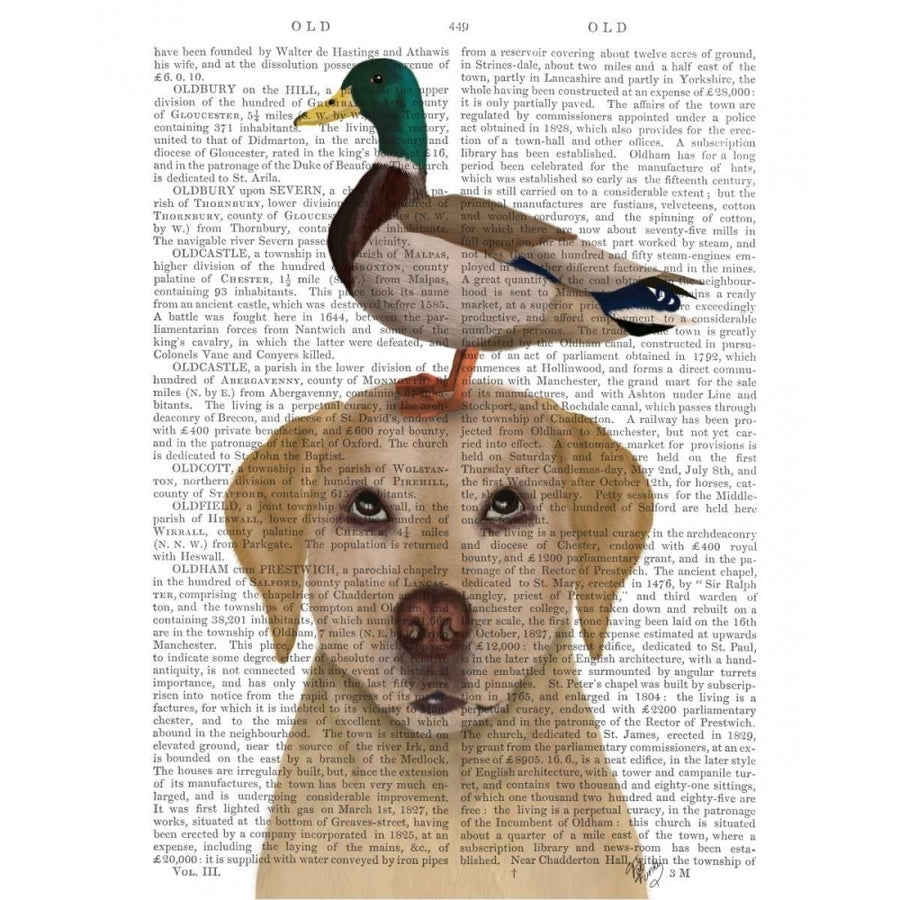 Labrador and Duck Poster Print - Funky Fab-VARPDX191476D Image 1