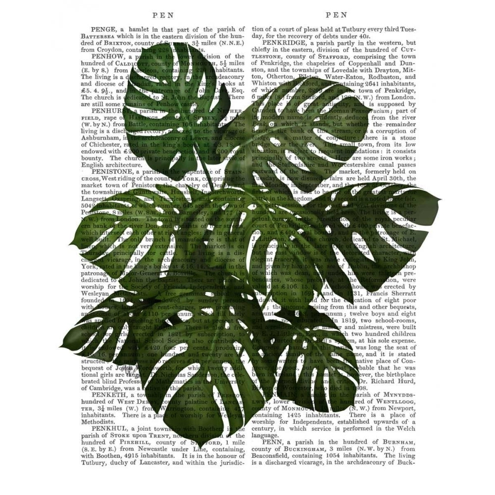 Monstera Plant Green on White Poster Print - Funky Fab-VARPDX191481D Image 1