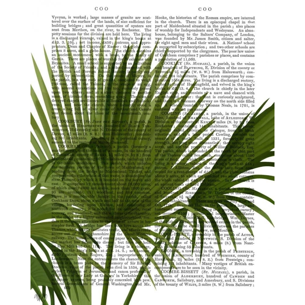 Fan Palm 1 Green on White Poster Print - Funky Fab-VARPDX191478D Image 1