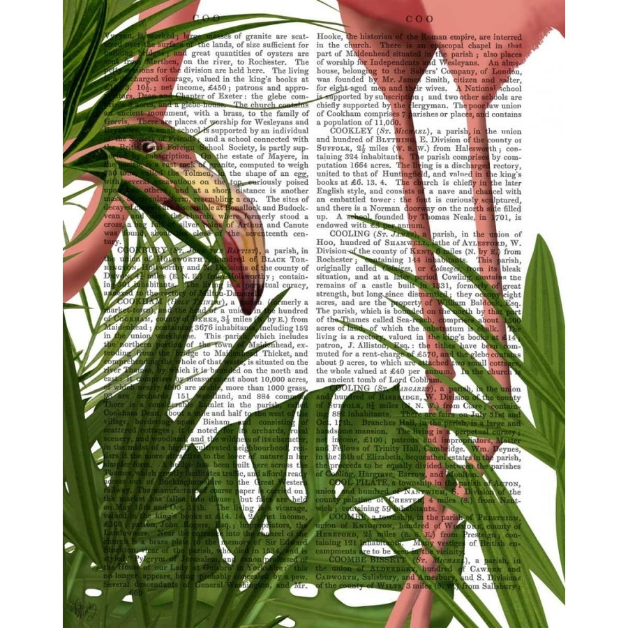 Flamingo Peering Poster Print - Funky Fab-VARPDX191483D Image 1