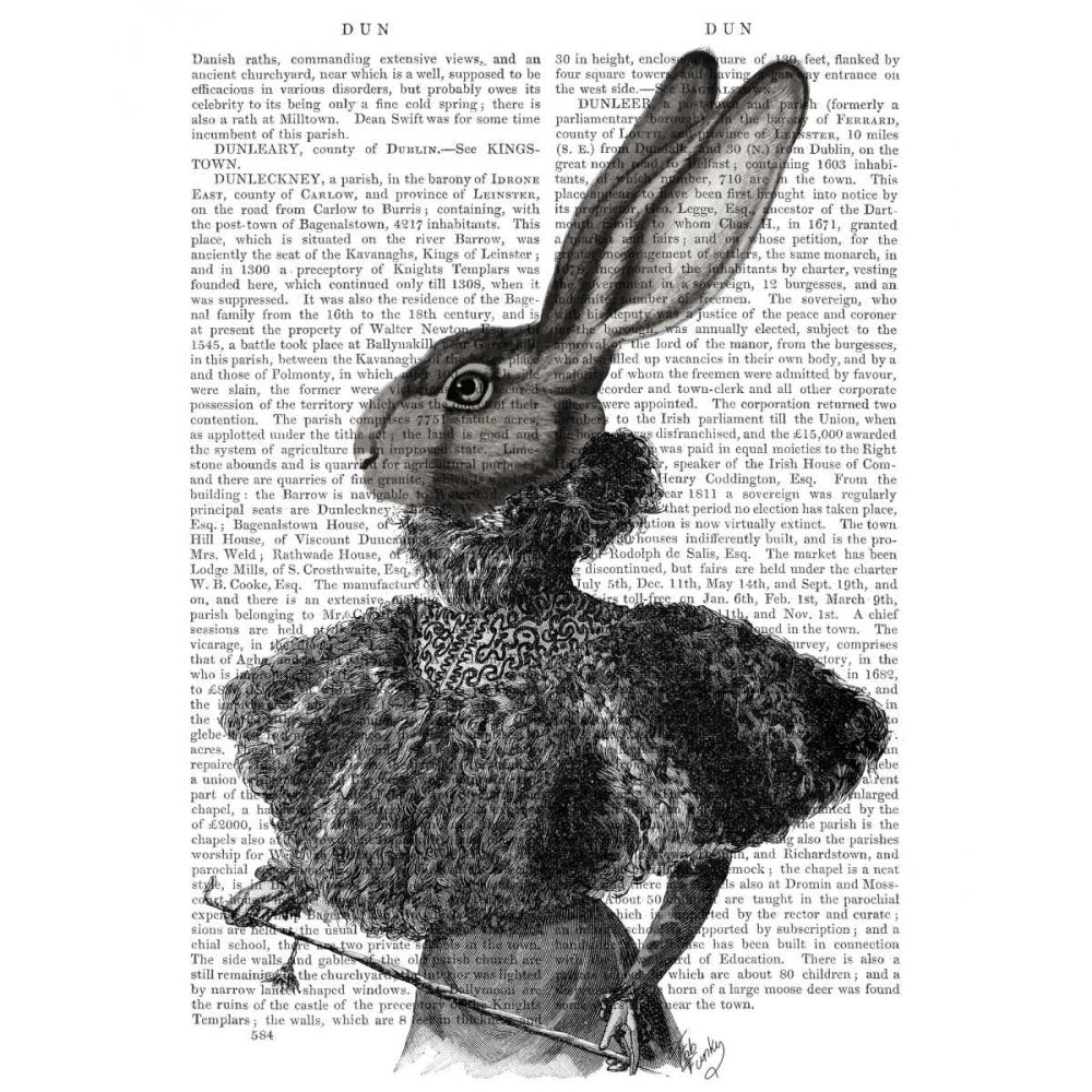 Rabbit with Feather Collar Poster Print - Funky Fab-VARPDX191497D Image 1