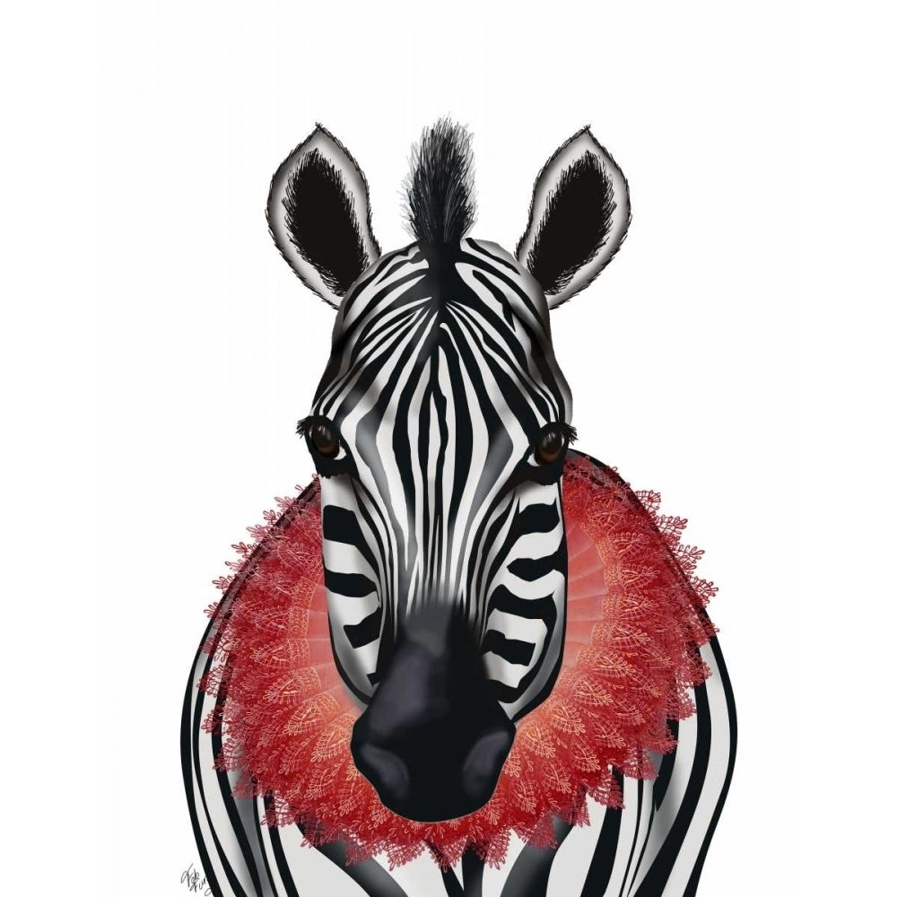 Zebra and Red Ruff Poster Print - Funky Fab-VARPDX191522D Image 1