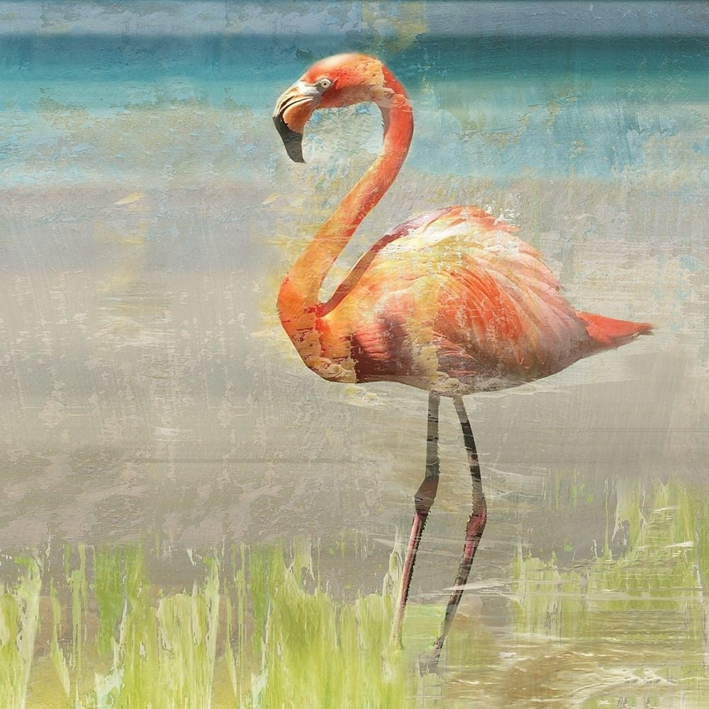 Flamingo Fancy Ii Poster Print by Nan-VARPDX19159 Image 2