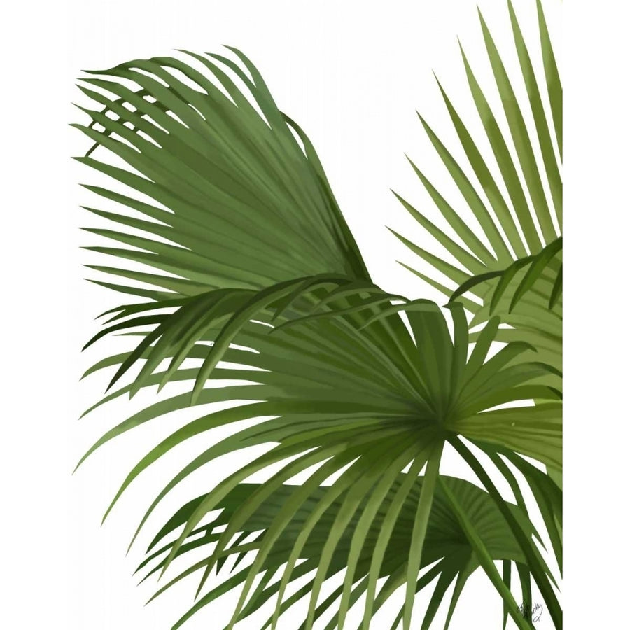 Fan Palm 2 Green on White Poster Print - Funky Fab-VARPDX191643D Image 1