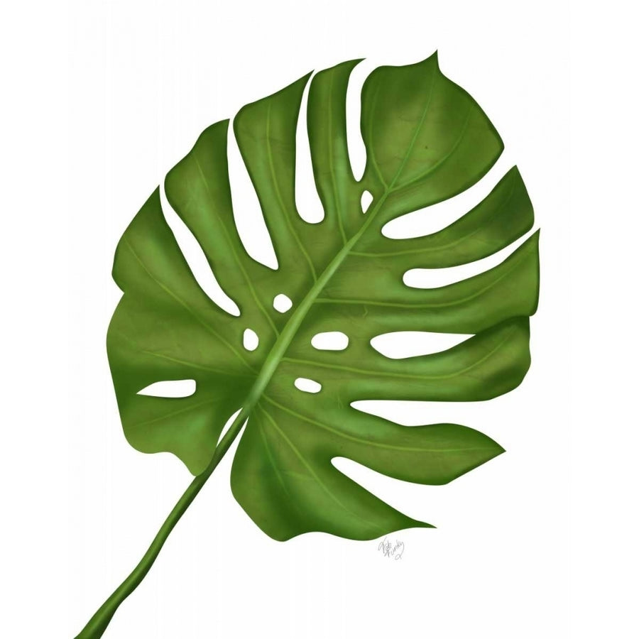 Monstera Leaf 1 Green on White Poster Print - Funky Fab-VARPDX191660D Image 1