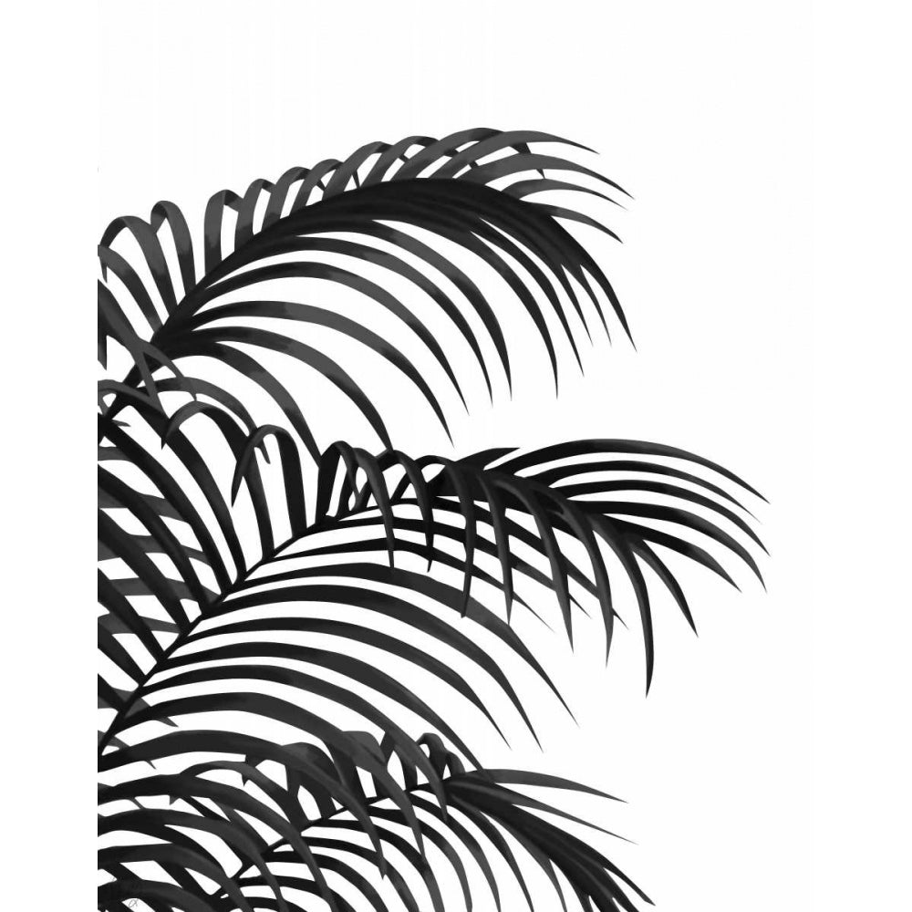 Palm Leaf 1 Black On White Poster Print - Funky Fab-VARPDX191667D Image 1