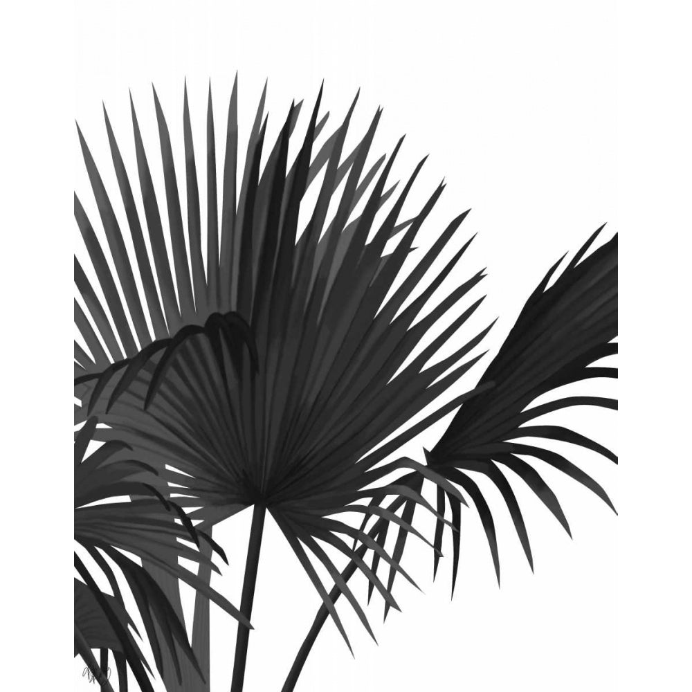 Fan Palm 1 Black On White Poster Print - Funky Fab-VARPDX191658D Image 1