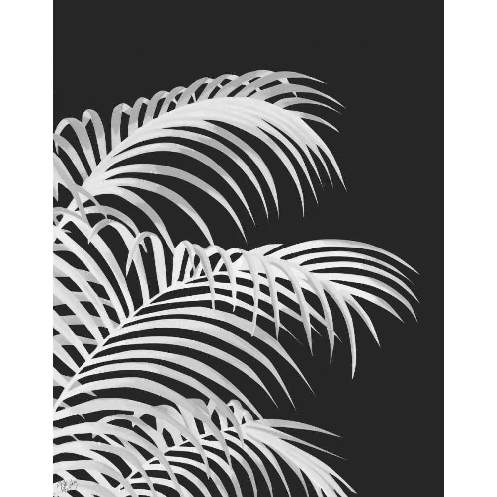 Palm Leaf 1 White On Black Poster Print - Funky Fab-VARPDX191666D Image 1