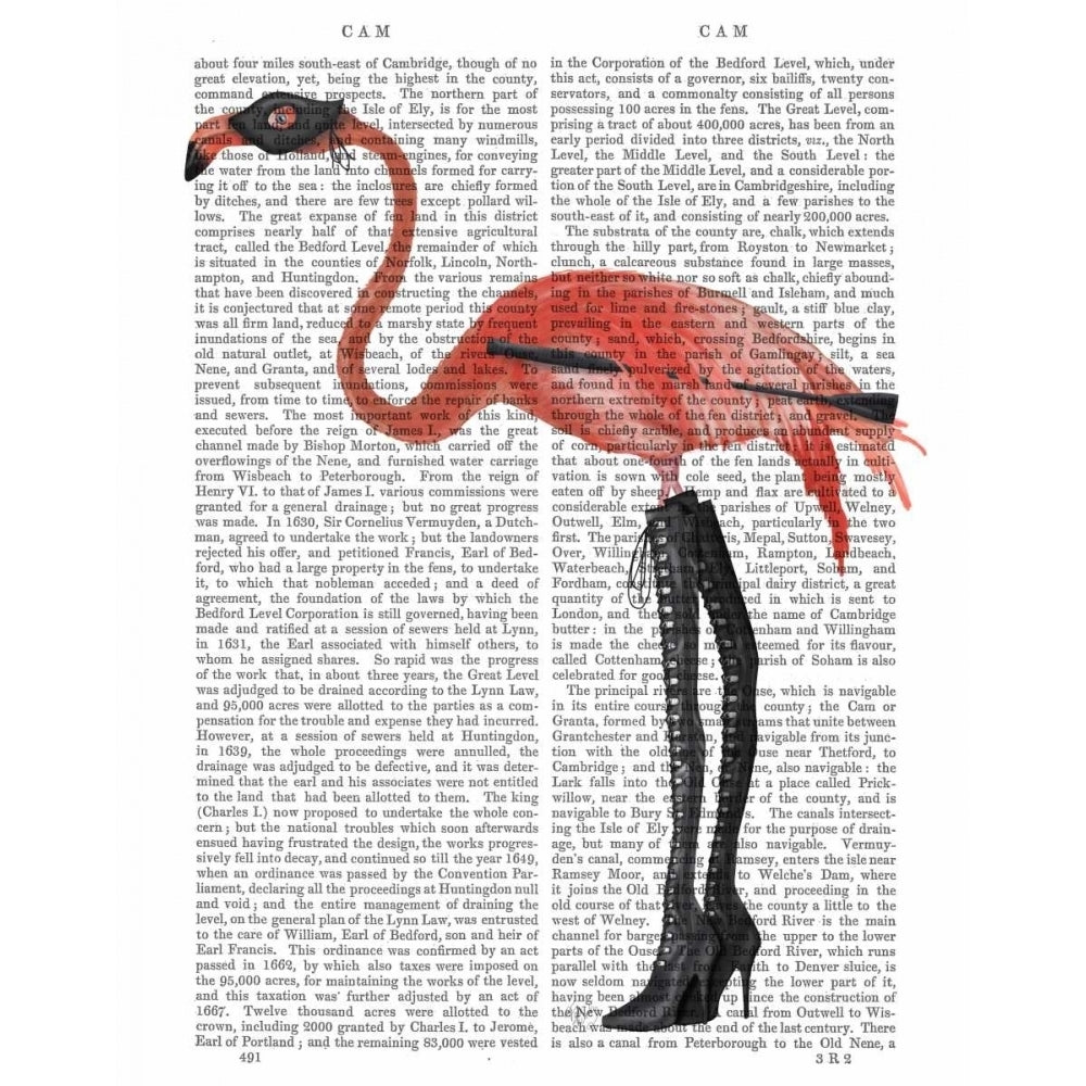 Flamingo with Kinky Boots Poster Print - Funky Fab-VARPDX191858D Image 1