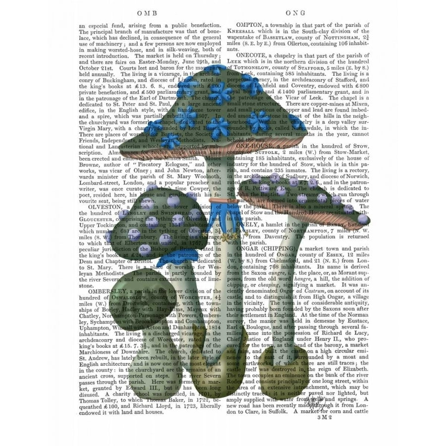 Psychedelic Mushrooms 1 Poster Print - Funky Fab-VARPDX191905D Image 1