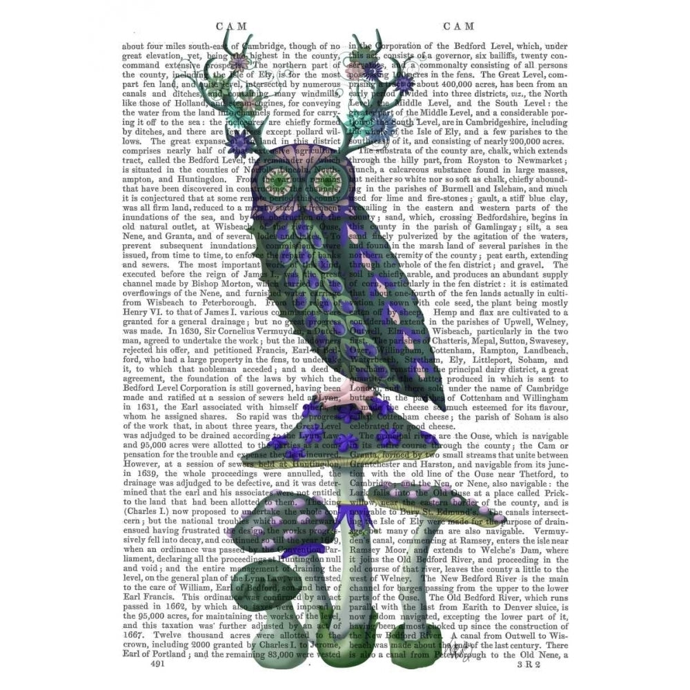 Owl on Mushrooms Poster Print - Funky Fab-VARPDX191909D Image 1