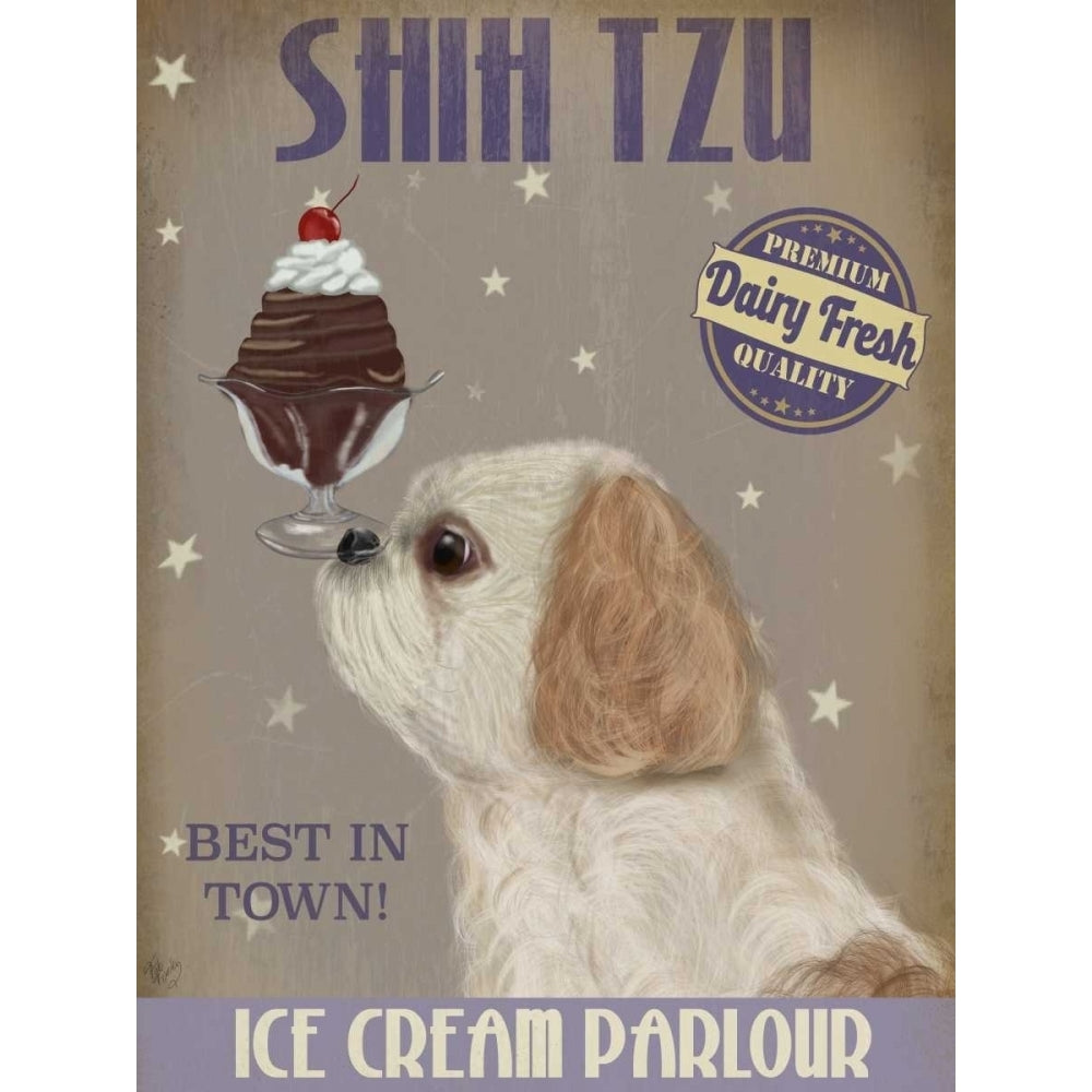 Shih Tzu Ice Cream Poster Print - Funky Fab-VARPDX191966D Image 1