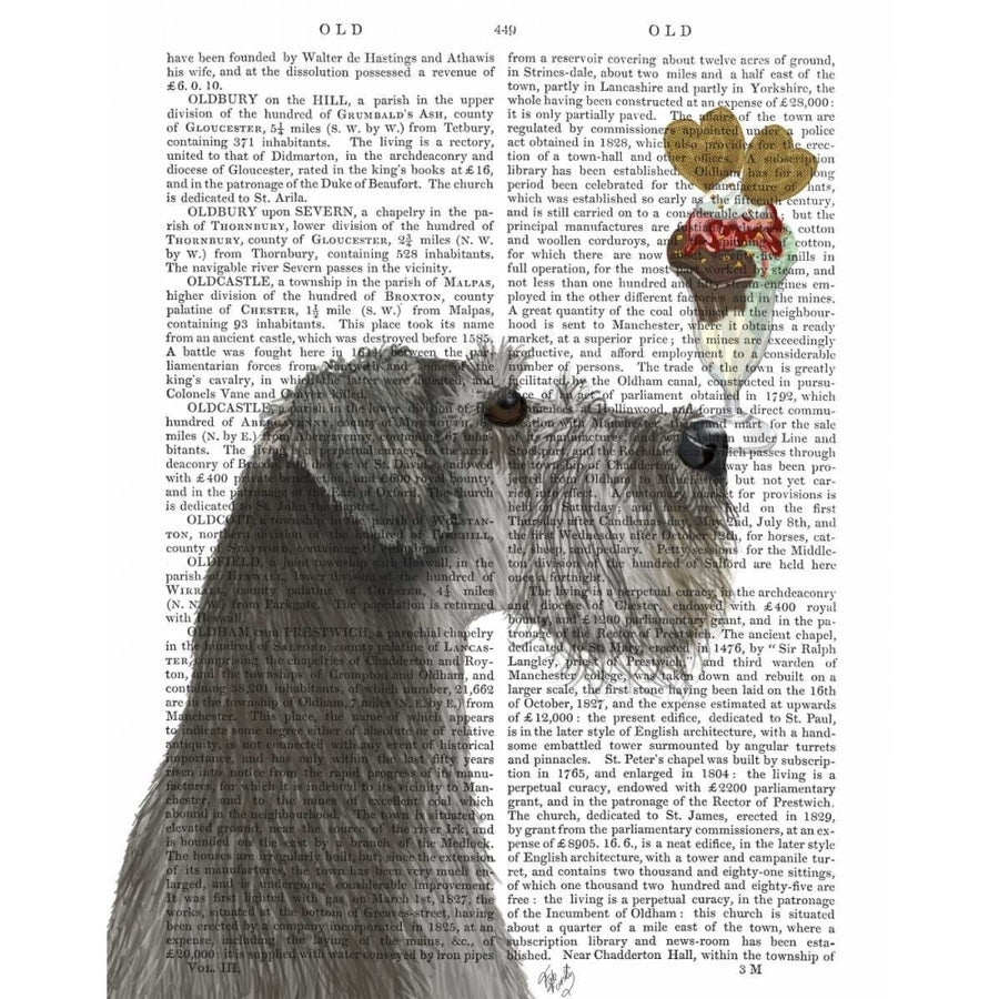 Schnauzer Grey Ice Cream Poster Print - Funky Fab-VARPDX192013D Image 1