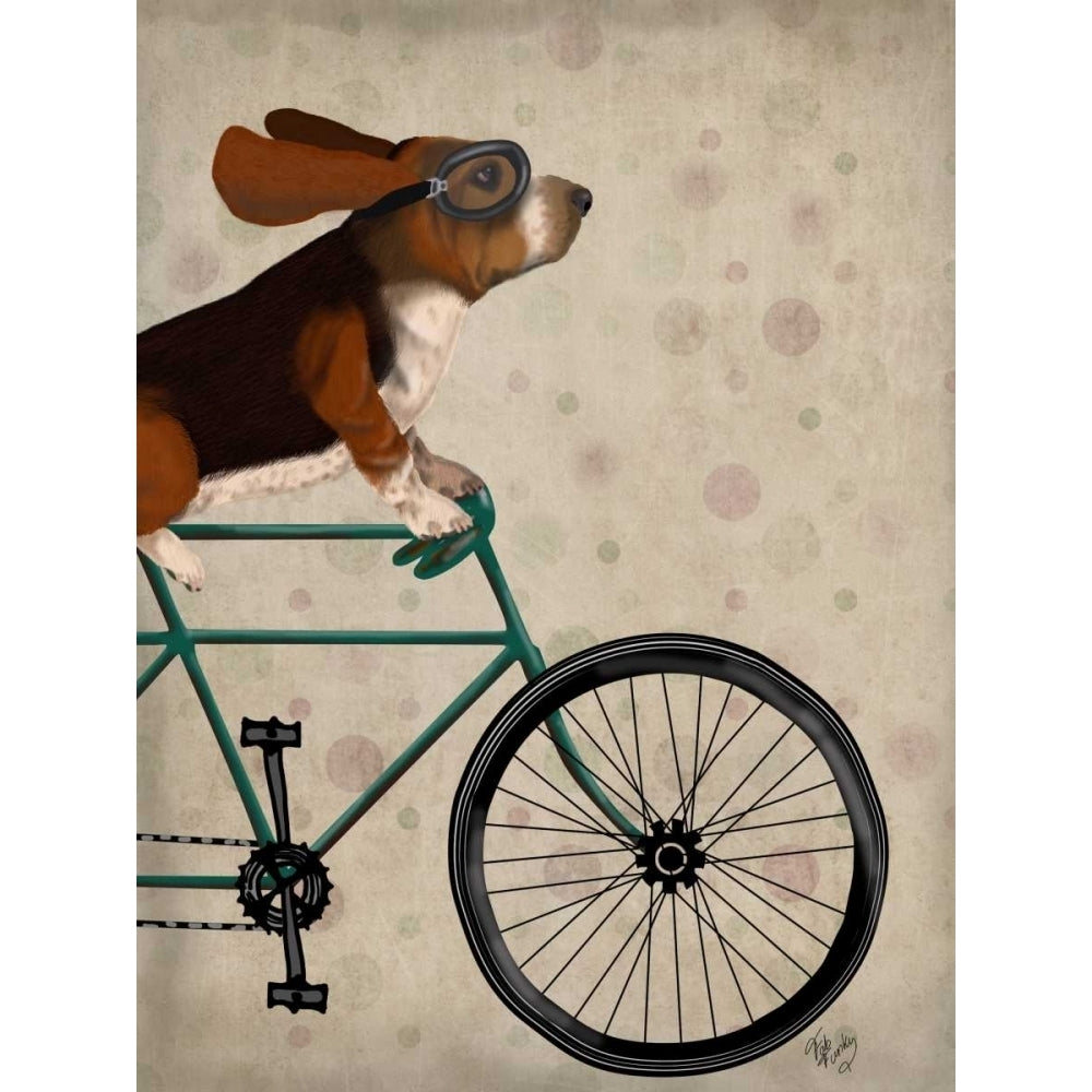 Basset Hound on Bicycle Poster Print - Funky Fab-VARPDX192023D Image 1