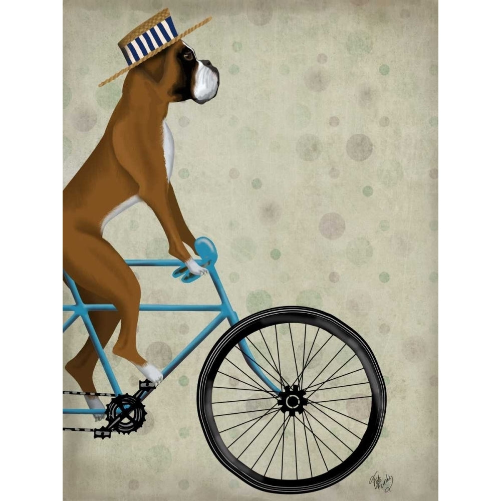 Boxer on Bicycle Poster Print - Funky Fab-VARPDX192027D Image 1