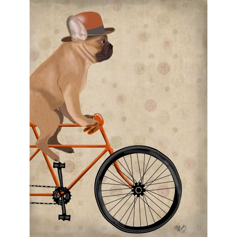 French Bulldog on Bicycle Poster Print - Funky Fab-VARPDX192031D Image 1