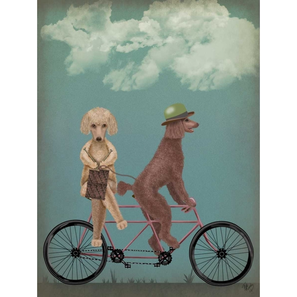 Poodle Tandem Poster Print - Funky Fab-VARPDX192042D Image 1