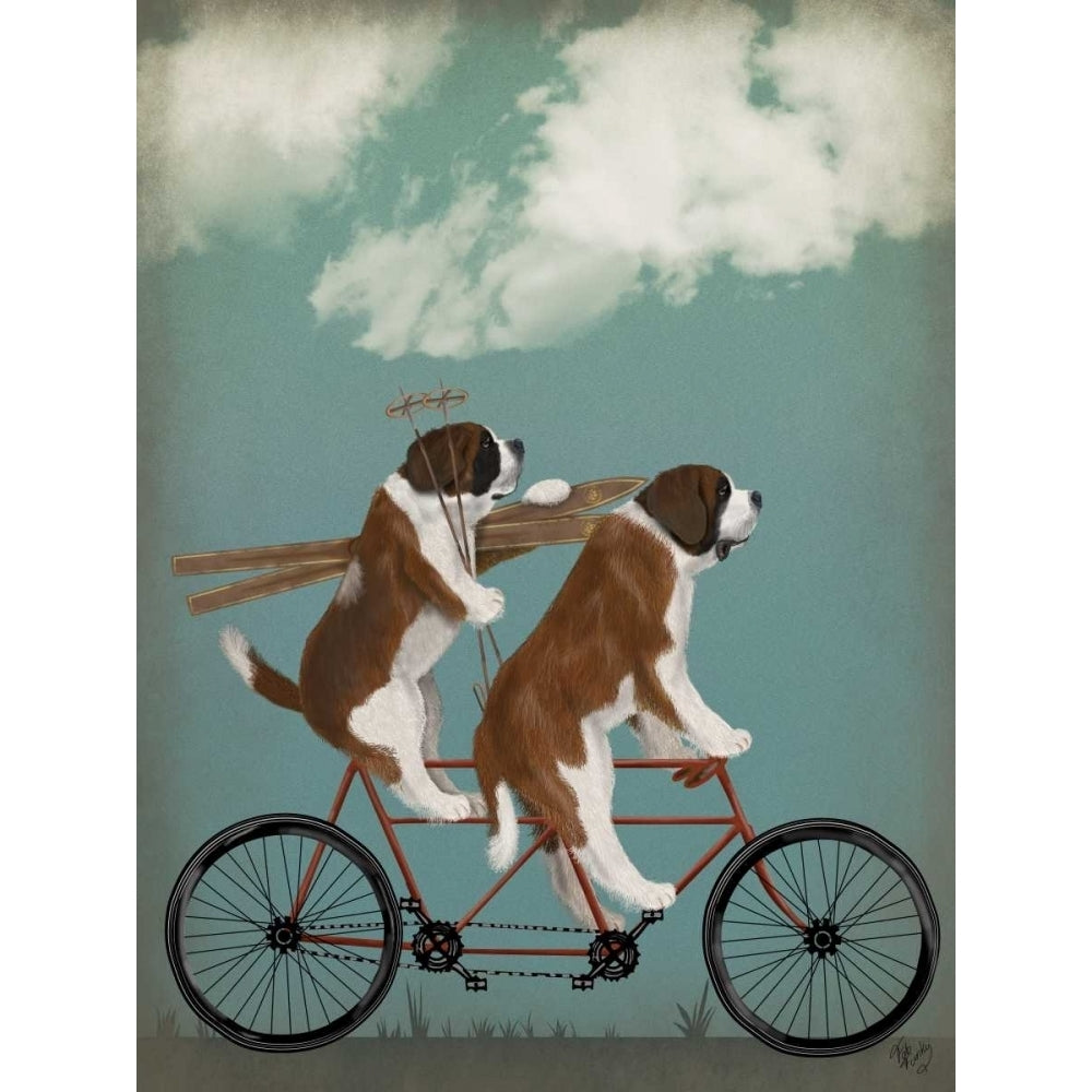 St Bernard Tandem Poster Print - Funky Fab-VARPDX192049D Image 1