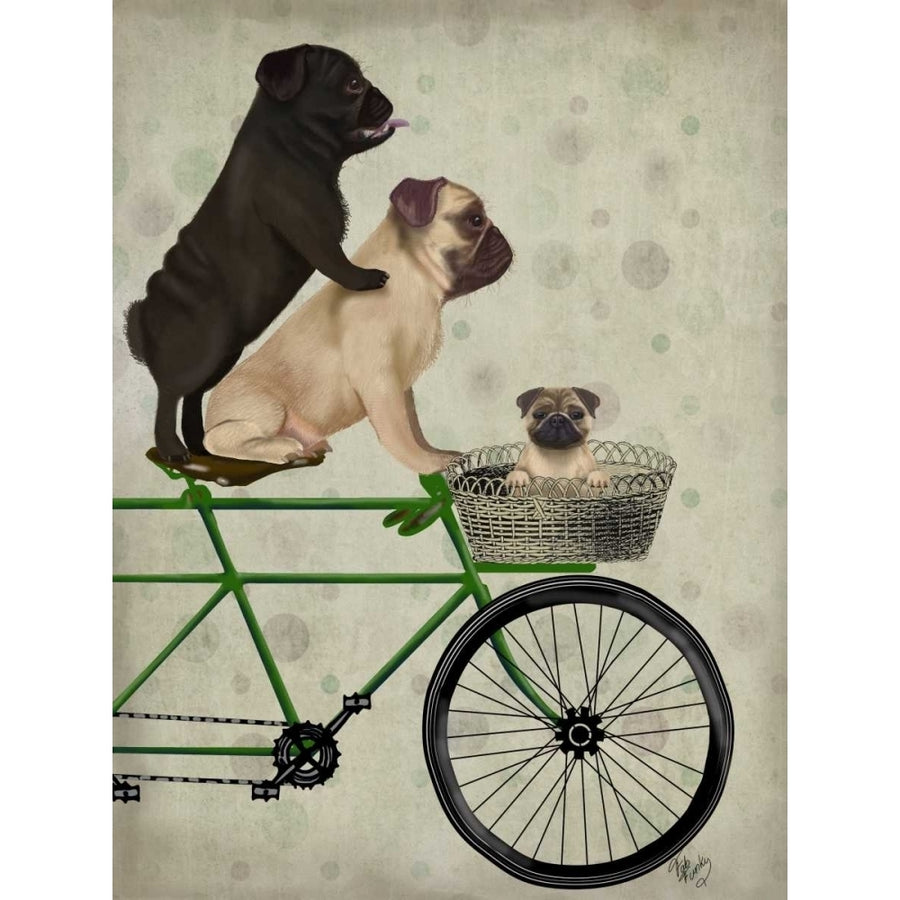 Pugs on Bicycle Poster Print - Funky Fab-VARPDX192043D Image 1