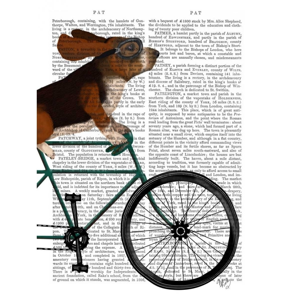 Basset Hound on Bicycle Poster Print - Funky Fab-VARPDX192050D Image 1