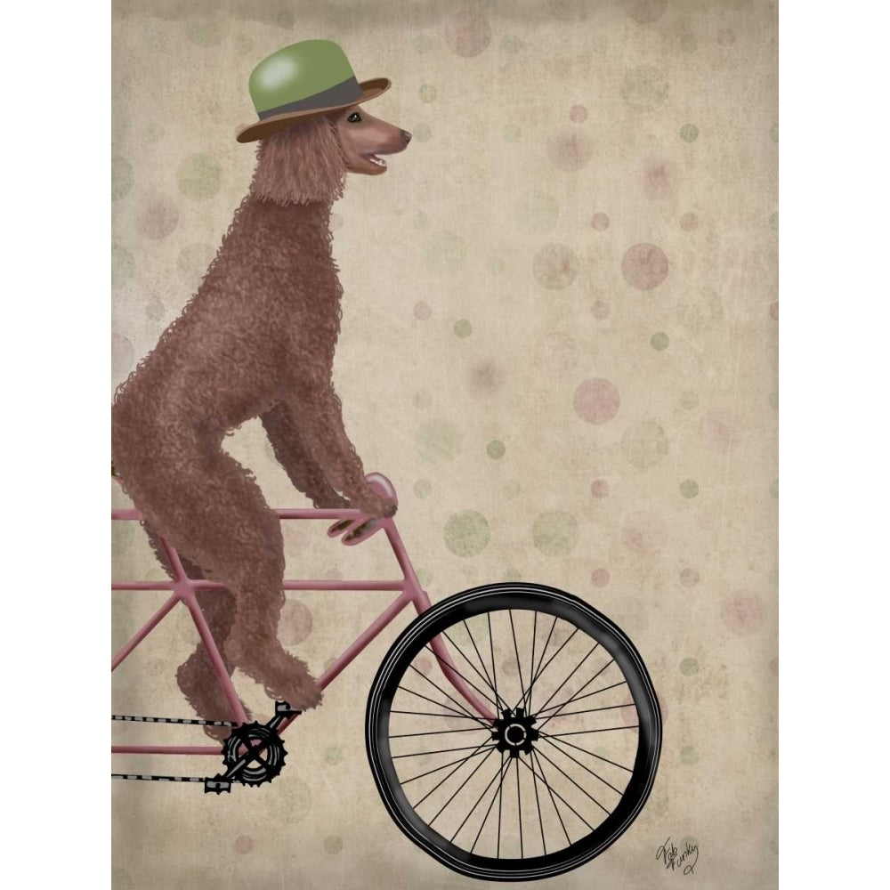 Poodle on Bicycle Brown Poster Print - Funky Fab-VARPDX192040D Image 1