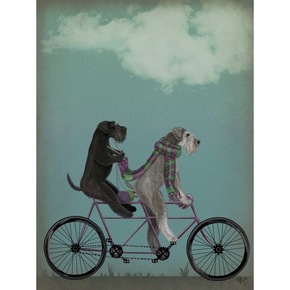 Schnauzer Tandem Poster Print - Funky Fab-VARPDX192047D Image 1