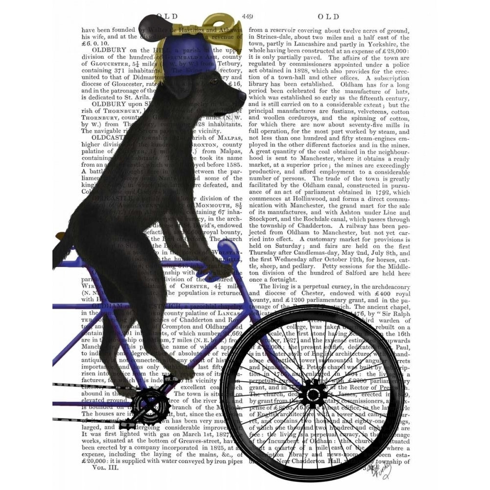 Black Labrador on Bicycle Poster Print - Funky Fab-VARPDX192062D Image 1