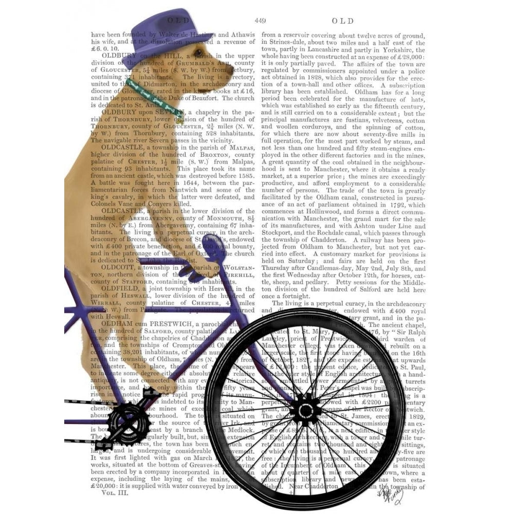 Yellow Labrador on Bicycle Poster Print - Funky Fab-VARPDX192064D Image 1