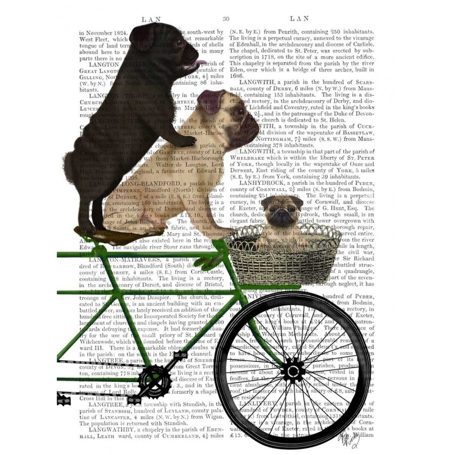 Pugs on Bicycle Poster Print - Funky Fab-VARPDX192070D Image 1