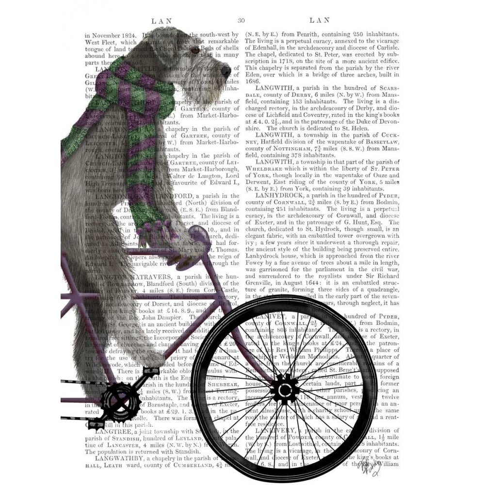 Schnauzer on Bicycle Grey Poster Print - Funky Fab-VARPDX192073D Image 1