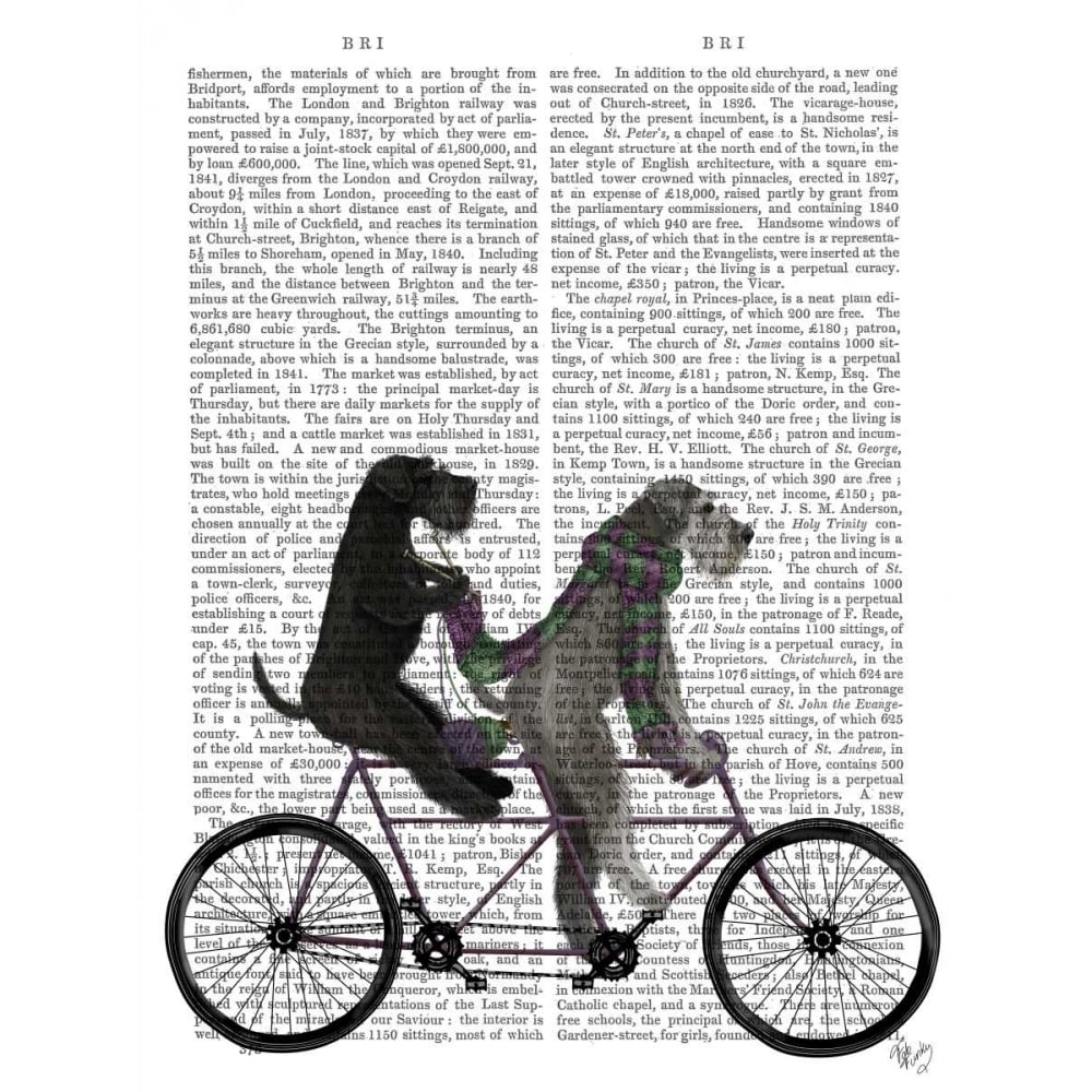 Schnauzer Tandem Poster Print - Funky Fab-VARPDX192074D Image 1