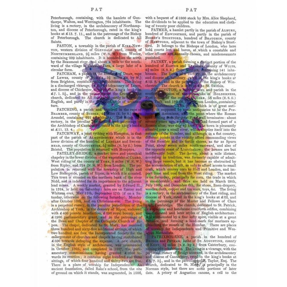 Rainbow Splash Pomeranian Poster Print - Funky Fab-VARPDX192110D Image 1