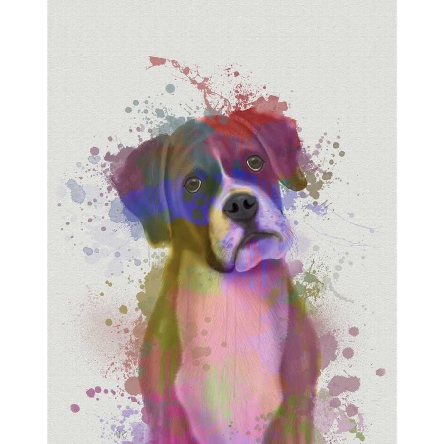 Boxer 1 Portrait Rainbow Splash Poster Print - Funky Fab-VARPDX192201D Image 1