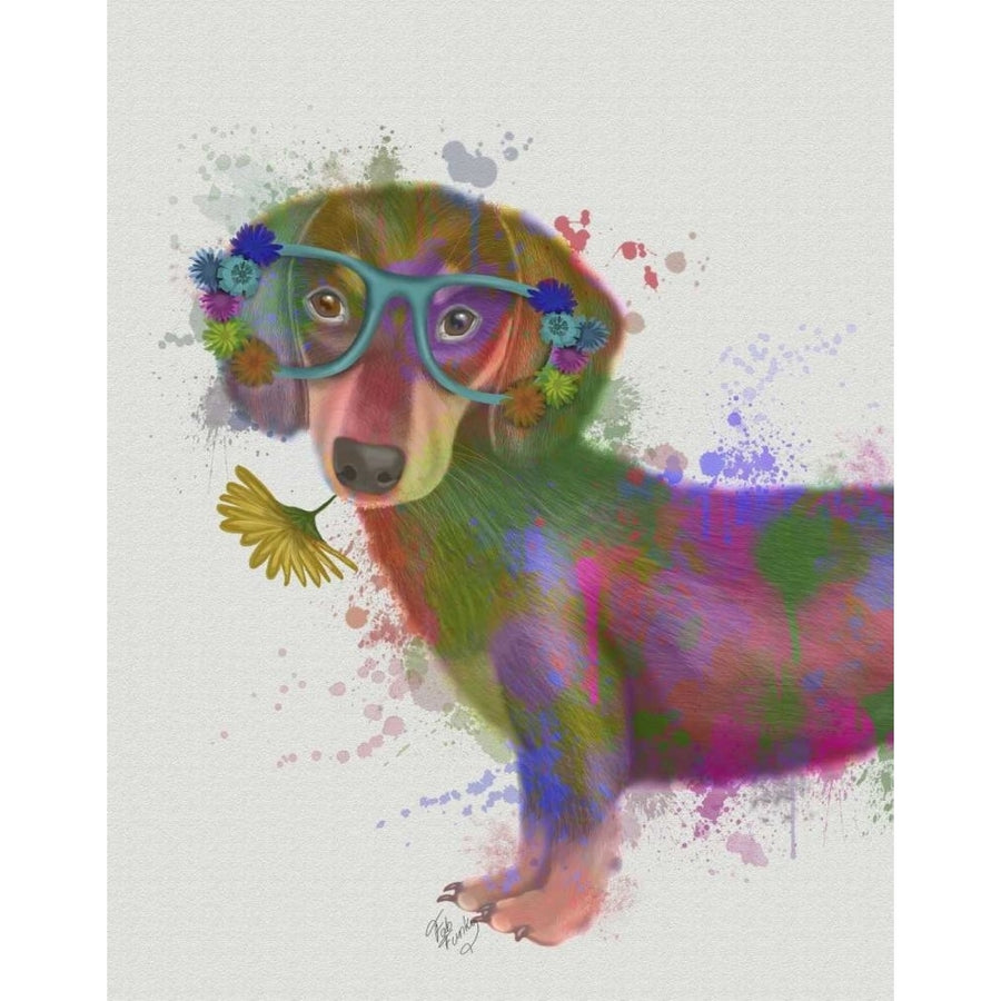 Dachshund And Glasses Rainbow Splash Poster Print - Funky Fab-VARPDX192199D Image 1