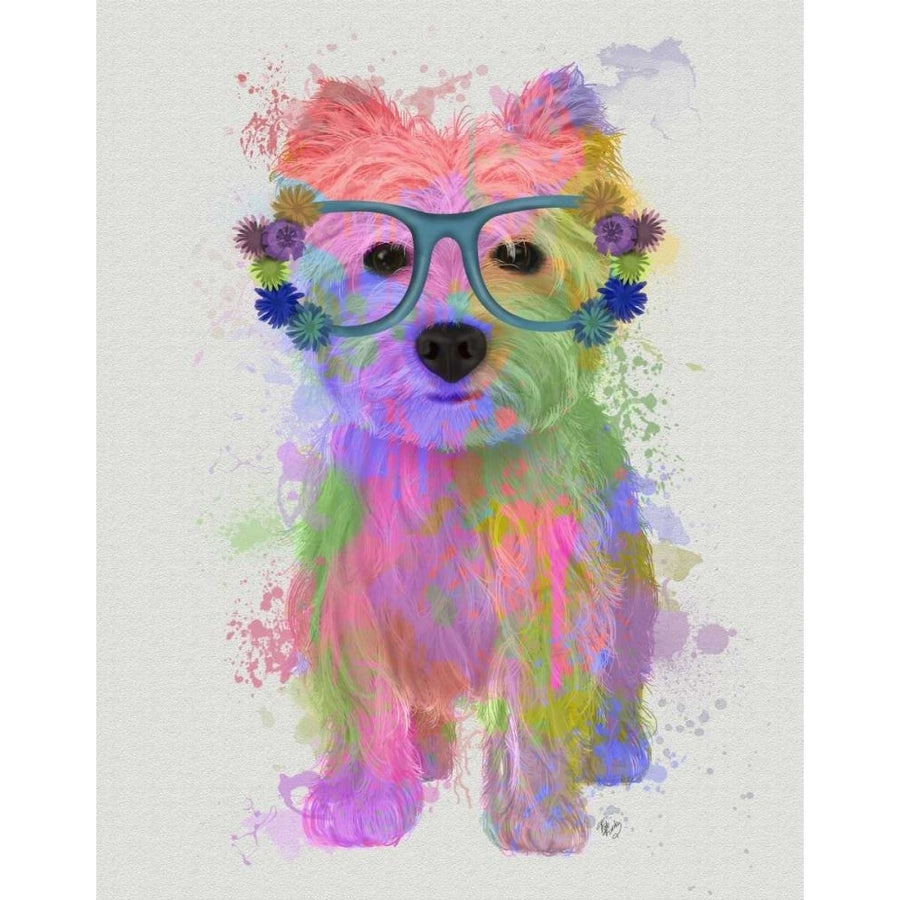 West Highland Terrier Rainbow Splash Poster Print - Funky Fab-VARPDX192198D Image 1