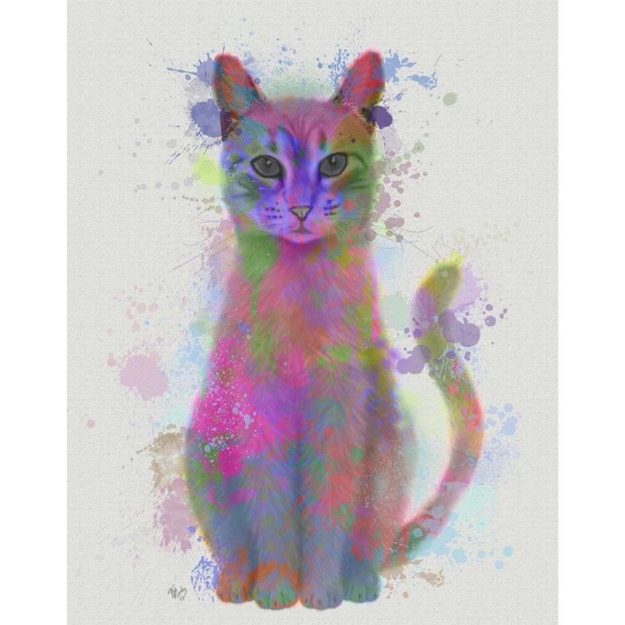 Cat Rainbow Splash 4 Poster Print - Funky Fab-VARPDX192188D Image 1