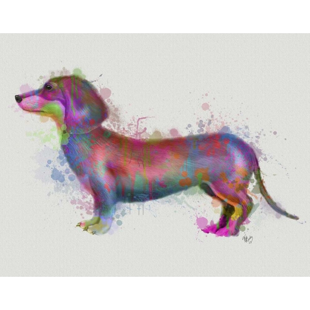 Dachshund Rainbow Splash 1 Poster Print - Funky Fab-VARPDX192197D Image 1