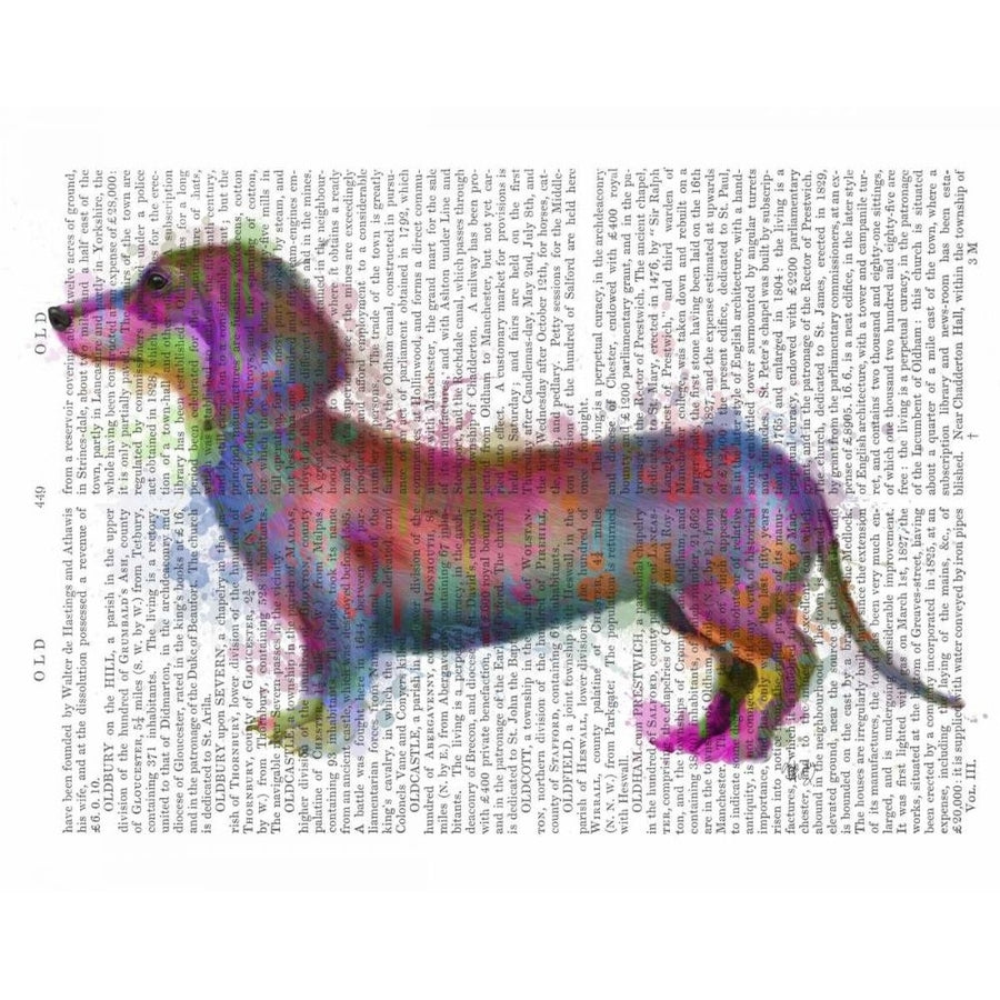 Dachshund Rainbow Splash 1 Poster Print - Funky Fab-VARPDX192204D Image 1