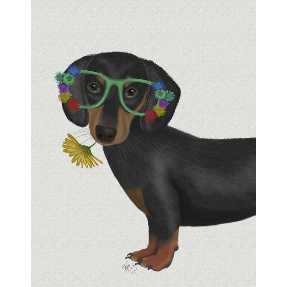 Dachshund Flower Glasses Poster Print - Funky Fab-VARPDX192225D Image 1