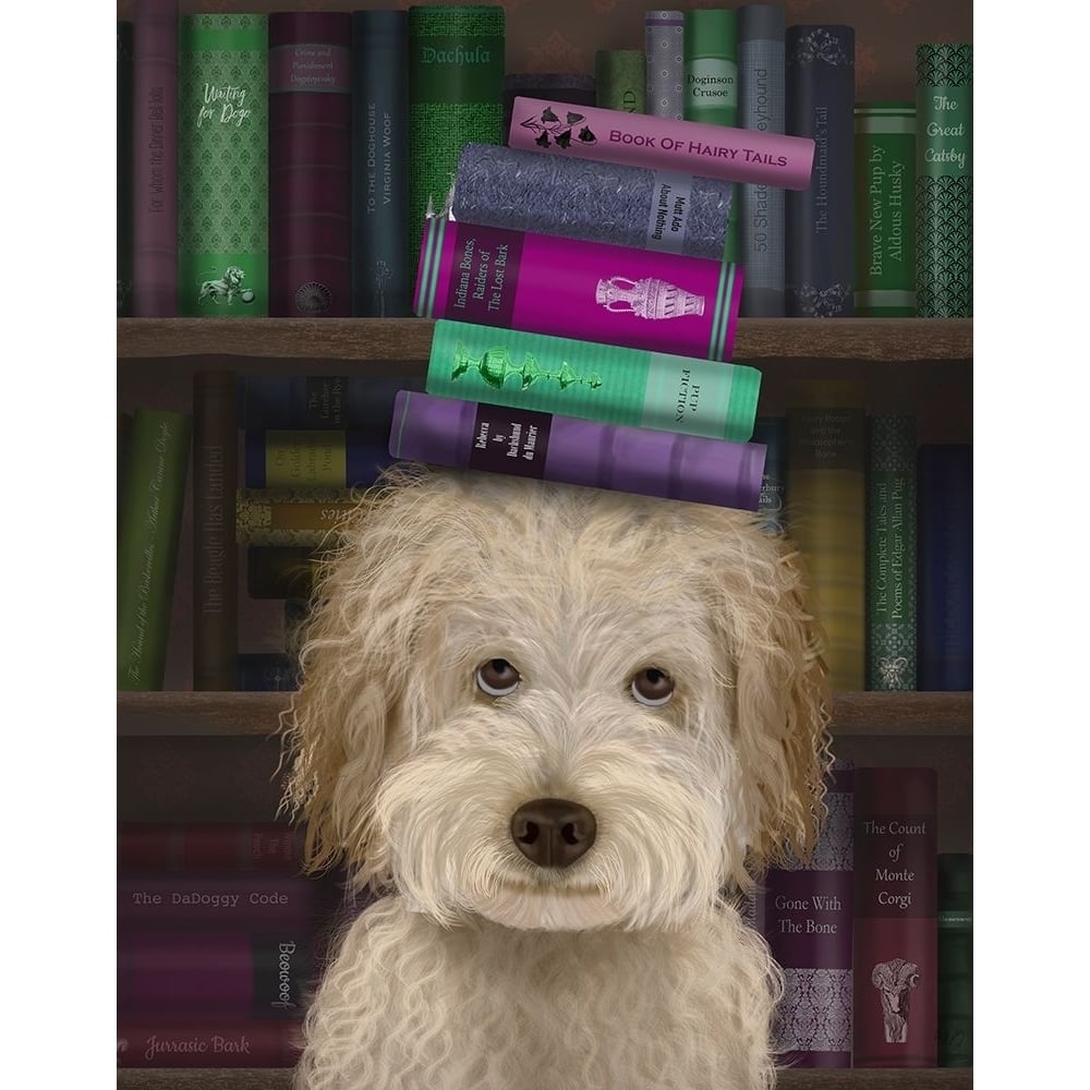 Labradoodle Cream and Books Poster Print - Funky Fab-VARPDX192477D Image 1