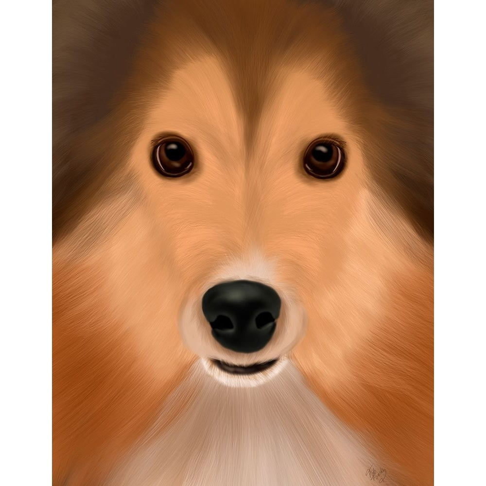 Shetland Sheepdog Big Dog Poster Print - Funky Fab-VARPDX192458D Image 1