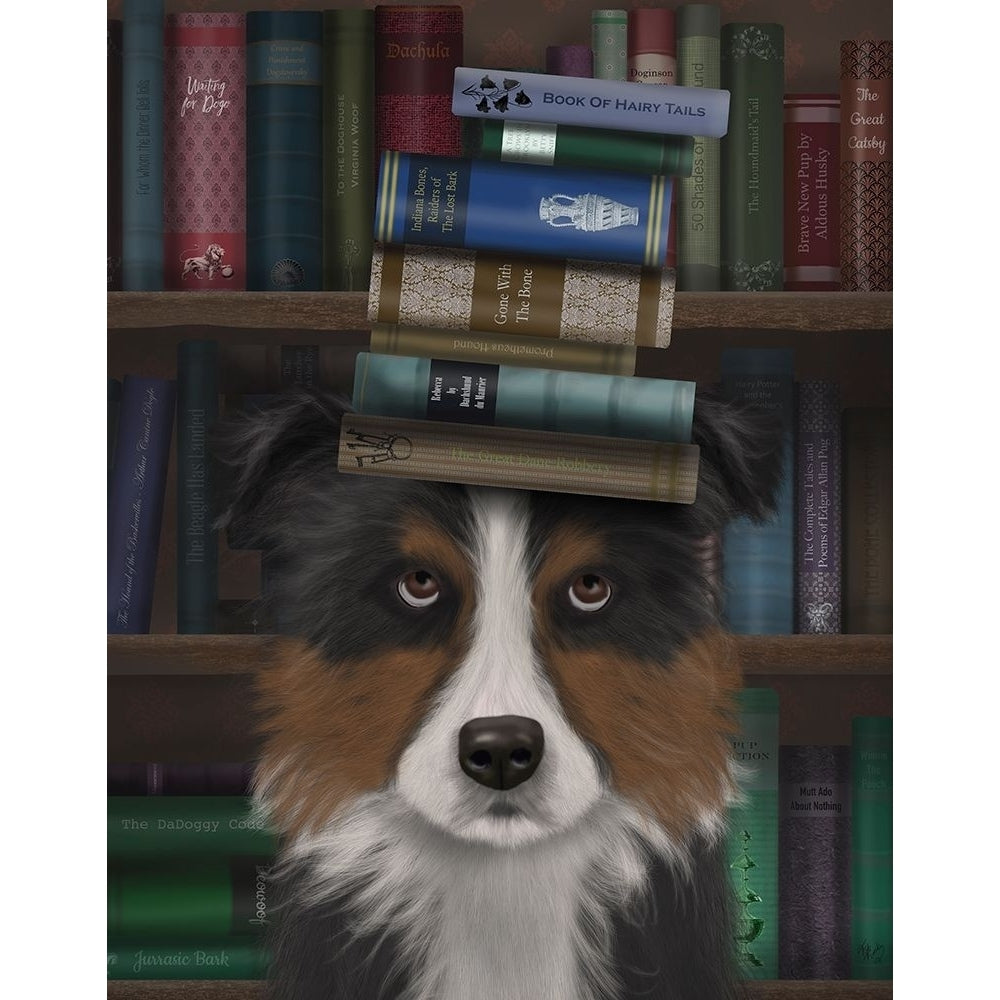 Border Collie Tricolour and Books Poster Print - Funky Fab-VARPDX192466D Image 1