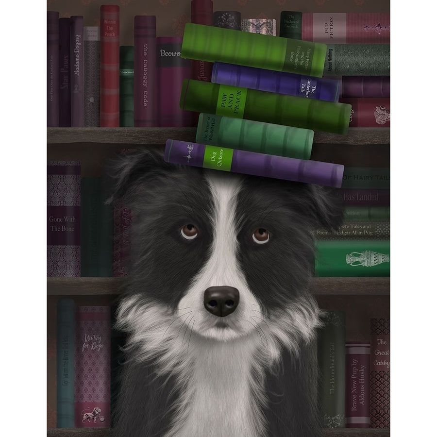 Border Collie Black and White and Books Poster Print - Funky Fab-VARPDX192465D Image 1