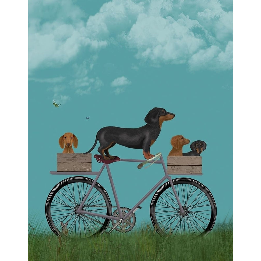 Dachshunds on Bicycle Poster Print - Funky Fab-VARPDX192594D Image 1