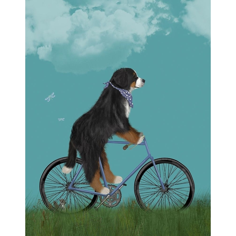 Bernese on Bicycle - Sky Poster Print - Funky Fab-VARPDX192592D Image 1