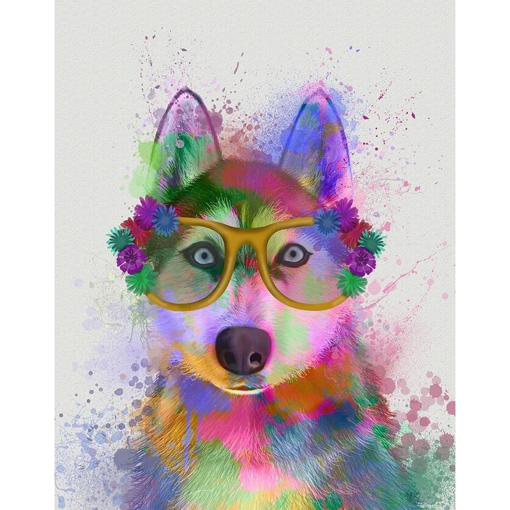 Husky Rainbow Splash Poster Print - Funky Fab-VARPDX192643D Image 1