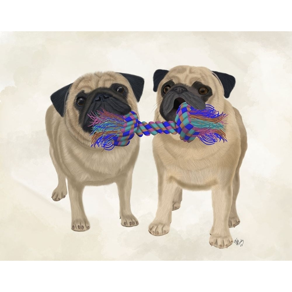 Pugs and Cloth Bone Poster Print - Funky Fab-VARPDX192634D Image 1