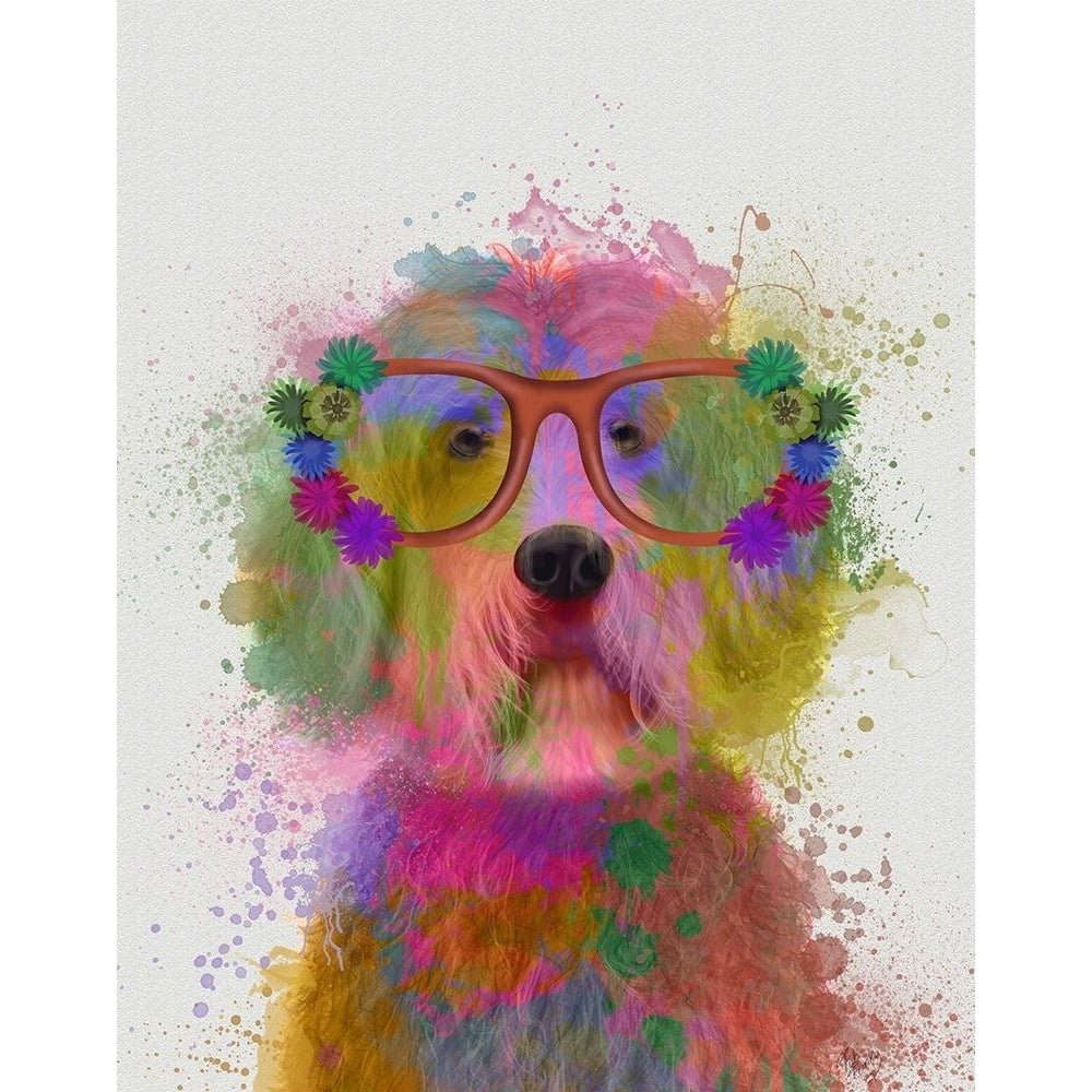 Labradoodle Rainbow Splash Poster Print - Funky Fab-VARPDX192644D Image 1