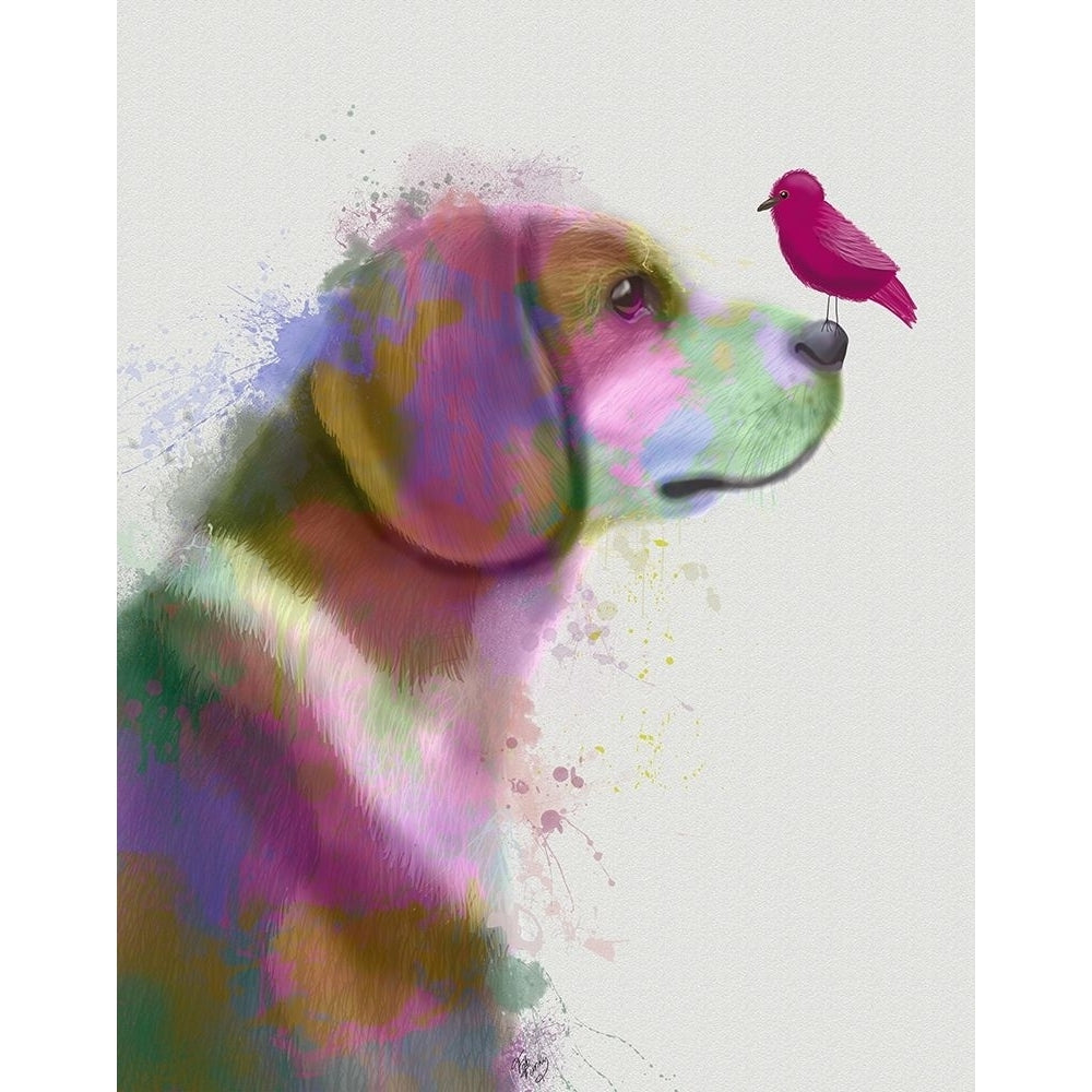 Beagle Rainbow Splash Poster Print - Funky Fab-VARPDX192637D Image 1